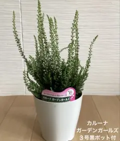 ＊mama＊様 リクエスト 2点 まとめ商品