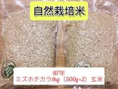 R6年 自然栽培 ミズホチカラ玄米粉1kg（500g×2） - メルカリ