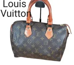 ルイヴィトンスピーディ30ミニボストン