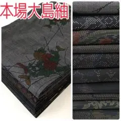 2025年最新】大島紬まとめ売りの人気アイテム - メルカリ