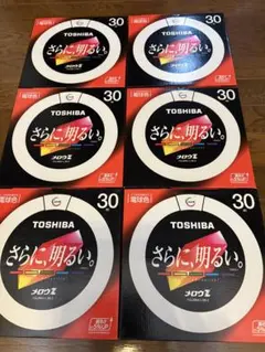 ★☆新品TOSHIBAメロウZ FCL30EX-L/28-Z 30形 蛍光灯★☆
