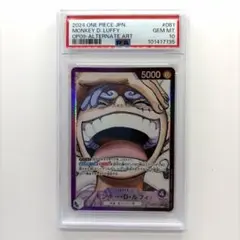 ルフィー ニカ リーダーパラレル PSA10 - メルカリ