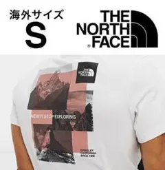 【海外限定】 THE NORTH FACE ストライプ Tシャツ ホワイト
