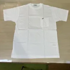 ラコステ　メンズTシャツ　1回使用