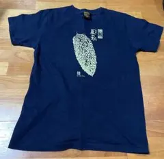 Habu Box 夏の力 ゴーヤー Tシャツ紺ＪMサイズのサムネイル