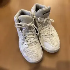 Item thumbnail for item fd3d3e0a-e8af-45f4-b1f7-e46658cbc78c