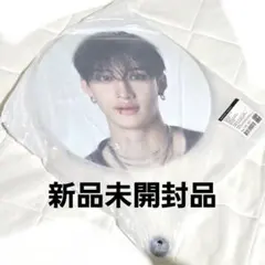 2026年最新】バンチャン うちわ ソウルコンの人気アイテム - メルカリ