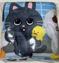 RIIZE 東京ドーム プレミアムシート特典　ブランケット　アプグレ特典