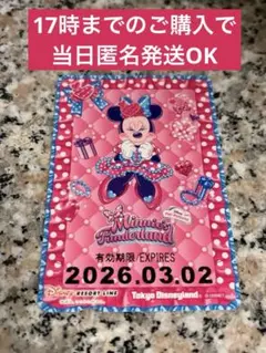 リゾートライン　フリーきっぷ　ミニーの日