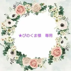 ★ぴのくま/即購入ok/送料無料 様専用ページ