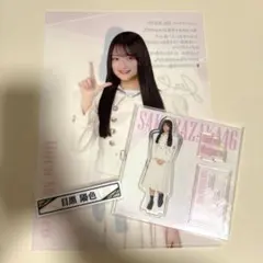 櫻坂46 くじ　2025 目黒陽色3点セット