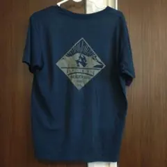 ザノースフェイス Tシャツ