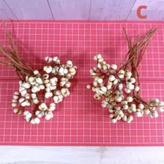 Item thumbnail for item e17aeb7c-5085-4032-86dc-01d4a489a42e