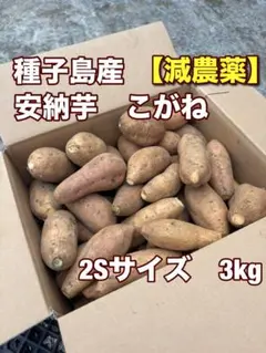 種子島産安納芋こがね【減農薬】 2Sサイズ 3kg - メルカリ