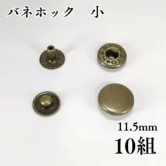 No.2バネホック　小　アンティーク　10組〖Ba2-10〗