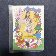 山内瑞葵 AKB48×アーティストコラボ 生写真 第11弾 6枚セット