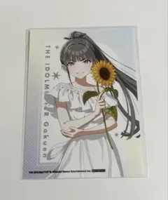 学園アイドルマスター 有楽町マルイ 缶バッジ 特典ブロマイド 雨夜燕