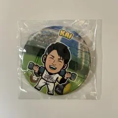 2026年最新】甲斐拓也 若鷹ガチャの人気アイテム - メルカリ