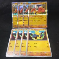 ポケモンカード　マクノシタ　ハリテヤマ　進化ライン