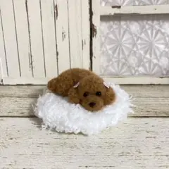 トイプードル＊お迎えまだかなぁ＊毛糸　羊毛フェルト　犬　ぬいぐるみ　ミニチュア