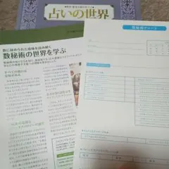 ベレガ BELEGA エステティックコース招待ハガキ - メルカリ