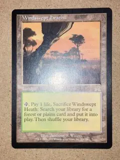 MTG 風立ての高地/Windswept Heath 英語版 旧枠 4枚セット - メルカリ