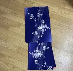 【未使用　しつけ糸なし】　洗える着物　夏着物　単衣　絽　付け下げ　総刺繍　華車 未使用 しつけ糸なし】 洗える着物 夏着物 単衣 絽 付け下げ 総刺繍 華