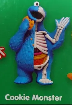 超希少 セサミストリート 30周年 コレクタブルフィギュア 5点セット 未開封 2025年最新】Yahoo!オークション -セサミストリート フィギュア