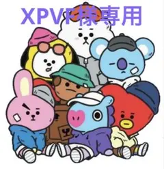 XPVF様専用