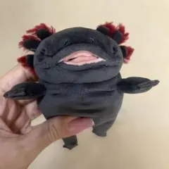 もちうぱ ミニ ウーパールーパー ぬいぐるみ マスコット 黒 ブラック