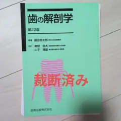 歯の解剖学
