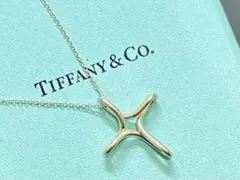 ◇【美品】TIFFANY&Co インフィニティ クロス ネックレス SV925◇