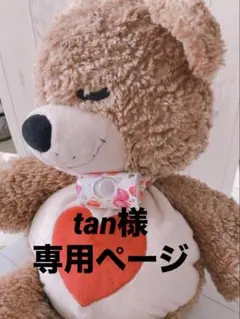 【tan様専用】被せ生地つき/ちょうちょ型カニューレバンド