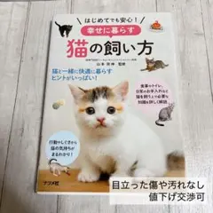 はじめてでも安心!幸せに暮らす猫の飼い方