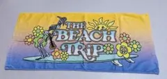 平井大　THE BEACH TRIP 2023 タオルのサムネイル
