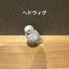 ヘドウィグ　カプセルトイ　ハリーポッター鳥