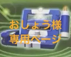 おしょう様　専用ページ　まとめ売り