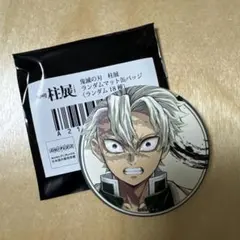 鬼滅の刃 柱展 不死川実弥