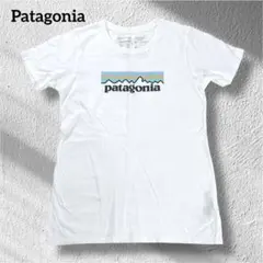 Patagonia Tシャツ　XS 白　綿100% ロゴプリント　カジュアル