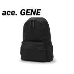 【ほぼ未使用】ace.GENE サルティー リュック ビジネスバッグ A4