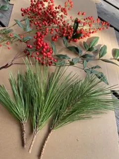 南天の実、葉 ネコポスいっぱい　実が重くて垂れてます。