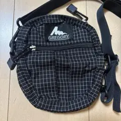 GREGORY グレゴリー クイックポケットS スペクトラ　usa製