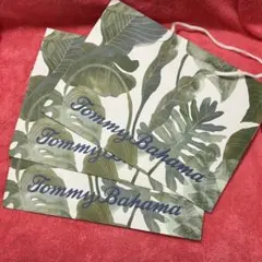 Item thumbnail for item 0445d8ab-16b5-4153-8c7e-574038b28c83