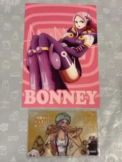 ワンピース 麦わらストア限定 特典 エッグヘッド編 場面写ポストカード
