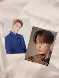 seventeen ディノ　ポストカードセット