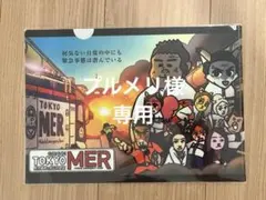 【プルメリ様専用】TOKYOMER クリアファイルのサムネイル