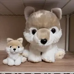 もふっとオオカミ リュコス BIGサイズ STサイズ