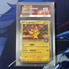 2026年最新】ロンドン ピカチュウの人気アイテム - メルカリ