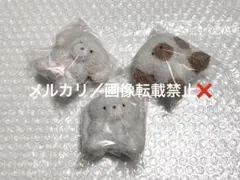 じょせまる ぬいぐるみ らて 耳のび ガチャガチャ カプセルトイ 3個セット