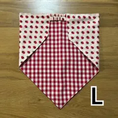 Item thumbnail for item 0ee88dd4-8201-4d0e-a9a6-8c28e7b2405a